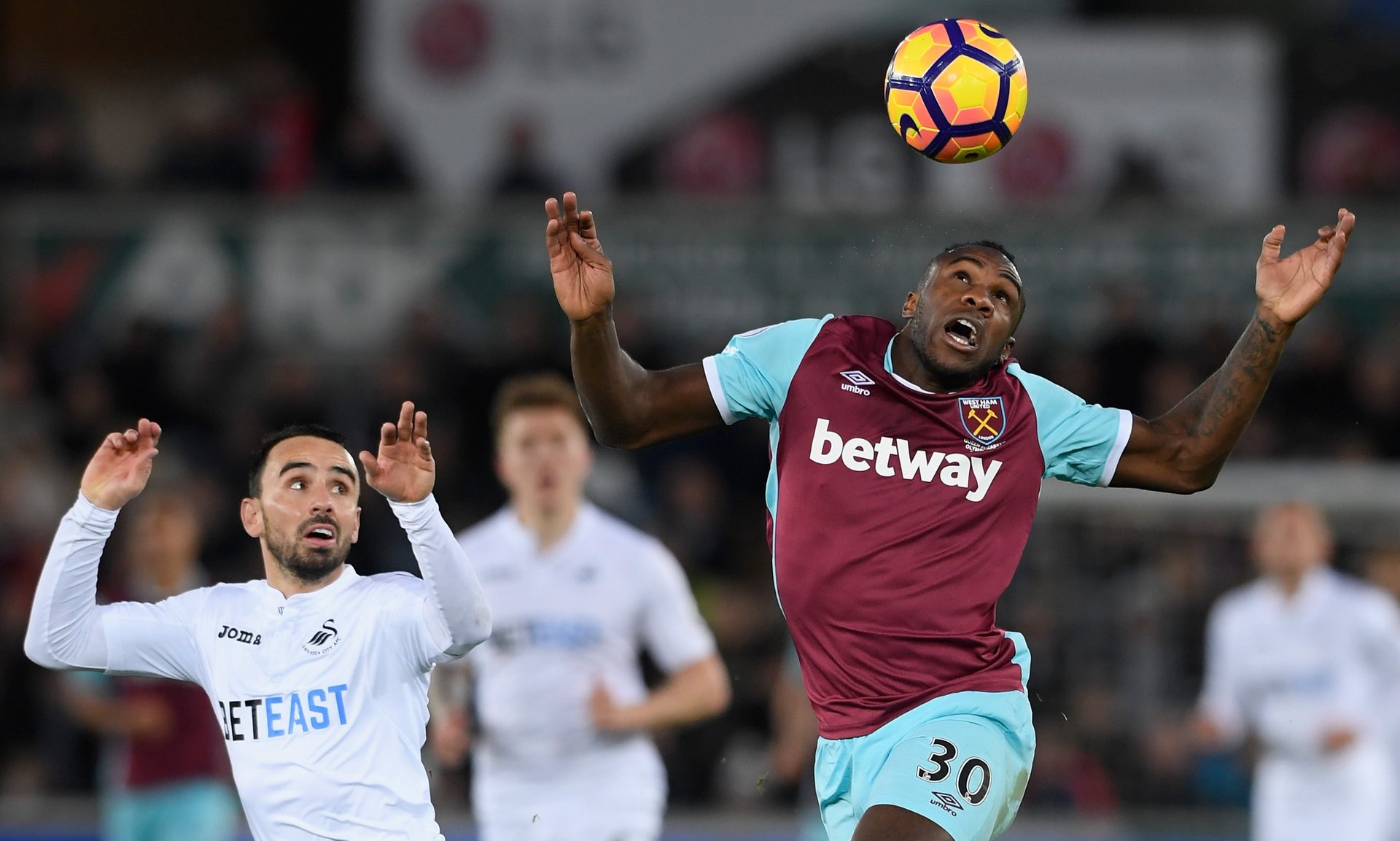 瞻性和灵活 瞻性和灵活